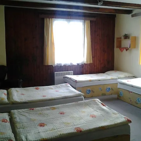 Guest house Vltavin 3*